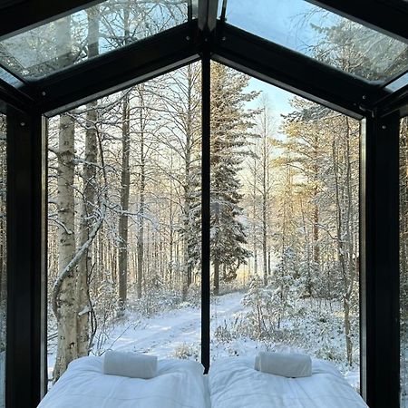 Sky Lodging ~ Sleeping Under The Stars روفانييمي المظهر الخارجي الصورة